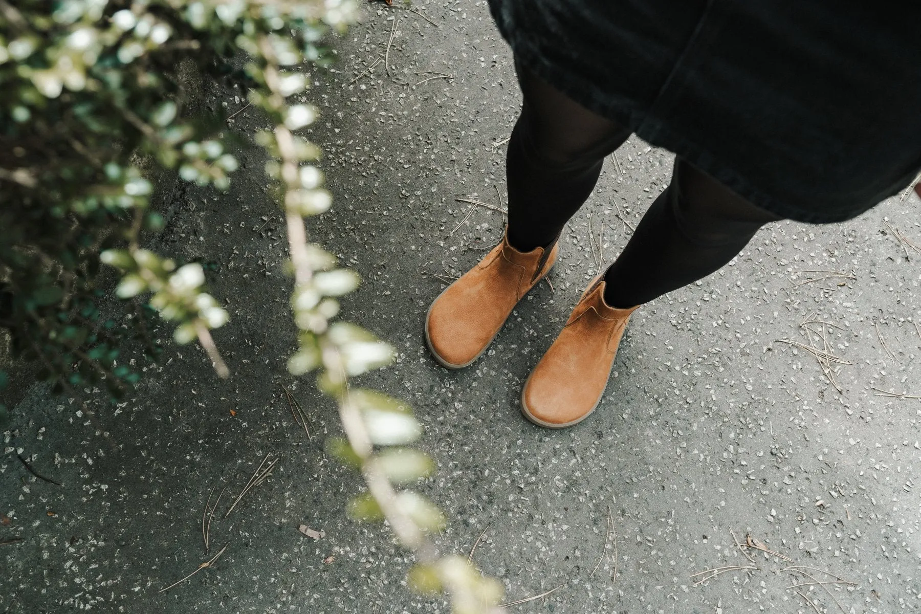 Barefoot Boots Be Lenka Entice Neo - Cinnamon Brown