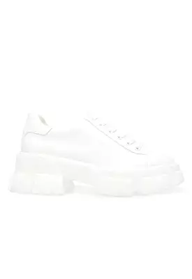 Steve Madden - Michigan Sneaker White